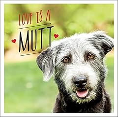Love mutt dog for sale  Delivered anywhere in UK