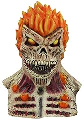 2019 ghost rider usato  Spedito ovunque in Italia 