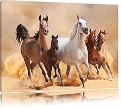 Western horses desert for sale  Delivered anywhere in UK