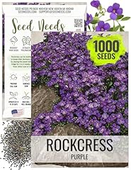 Seed needs purple for sale  Delivered anywhere in USA 