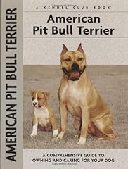 American pit bull usato  Spedito ovunque in Italia 