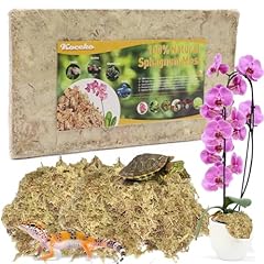 Natural sphagnum moss for sale  Delivered anywhere in USA 