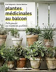 Plantes médicinales balcon d'occasion  Livré partout en France