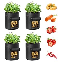 Ohiyoo potato grow for sale  Delivered anywhere in UK