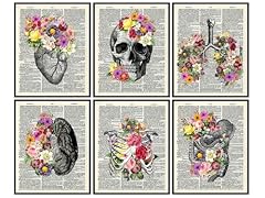 Medical dictionary art for sale  Delivered anywhere in USA 