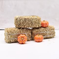 Mini hay bale for sale  Delivered anywhere in USA 