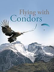 Flying condors for sale  Delivered anywhere in USA 