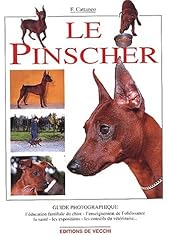 Pinscher d'occasion  Livré partout en Belgiqu