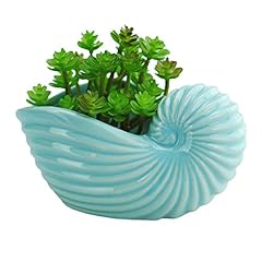 Vanenjoy ceramic succulent for sale  Delivered anywhere in USA 
