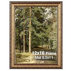 Splinterix 12x16 gold for sale  Delivered anywhere in USA 