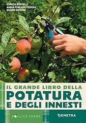 Grande libro della usato  Spedito ovunque in Italia 