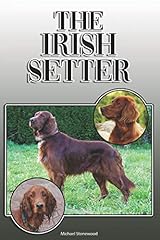 Irish setter complete for sale  Delivered anywhere in UK