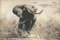 Beware elephant guy for sale  Delivered anywhere in USA 