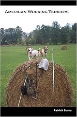 American working terriers for sale  Delivered anywhere in UK