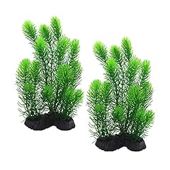Sinzau aquarium plant for sale  Delivered anywhere in UK