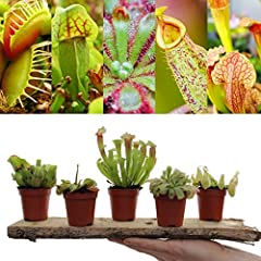 Carnivorous plant mix for sale  Delivered anywhere in UK