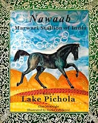 Nawaab marwari stallion for sale  Delivered anywhere in USA 