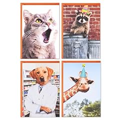 Hallmark shoebox funny for sale  Delivered anywhere in UK