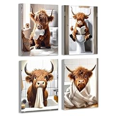 Drsoum cute highland for sale  Delivered anywhere in USA 