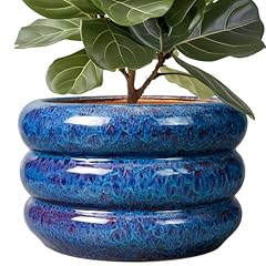 Sqowl ceramic pot for sale  Delivered anywhere in USA 