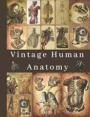 Vintage human anatomy for sale  Delivered anywhere in UK