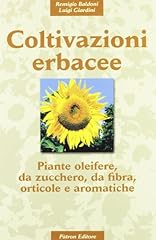 Coltivazioni erbacee piante usato  Spedito ovunque in Italia 