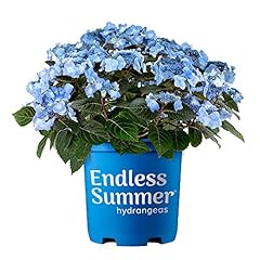 Gallon endless summer for sale  Delivered anywhere in USA 