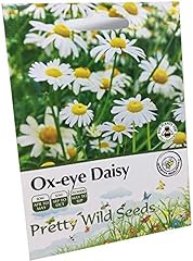Eye daisy seed for sale  Delivered anywhere in UK