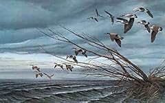 Terry redlin open for sale  Delivered anywhere in USA 