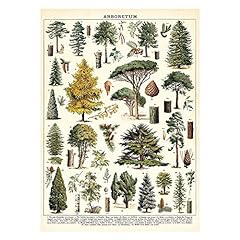 Cavallini Decorative Wrap Poster, Arboretum, 20 x 28 for sale  Delivered anywhere in Canada