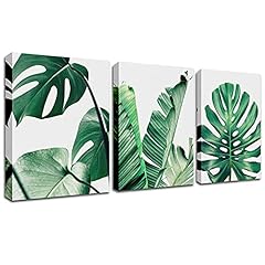 Green decor plant for sale  Delivered anywhere in USA 