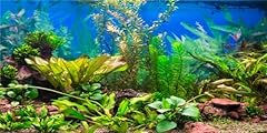 Mirrorang 91x41cm aquarium gebraucht kaufen  Wird an jeden Ort in Deutschland