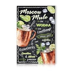 Cocktail rezepte 20x30cm gebraucht kaufen  Wird an jeden Ort in Deutschland