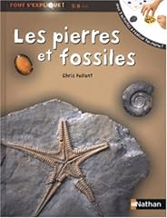 pierres fossiles d'occasion  Livré partout en France