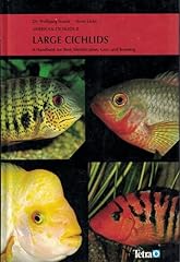 American cichlids large for sale  Delivered anywhere in UK