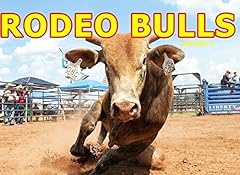 Rodeo bulls volume for sale  Delivered anywhere in USA 