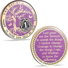 One year sobriety for sale  Delivered anywhere in UK
