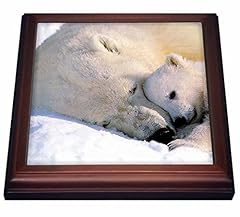 3drose polar bear for sale  Delivered anywhere in USA 