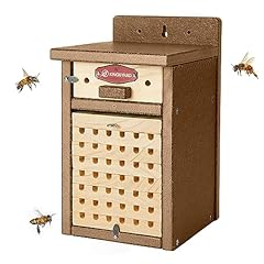 Kingsyard mason bee for sale  Delivered anywhere in USA 