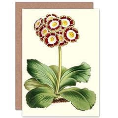 Card greeting garden for sale  Delivered anywhere in UK