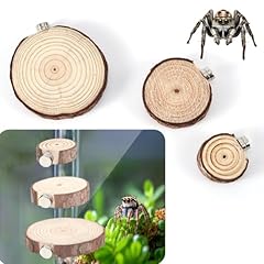 3pcs jumping spider for sale  Delivered anywhere in UK