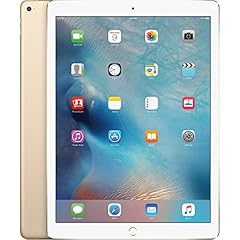 2015 apple ipad usato  Spedito ovunque in Italia 