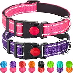 Pack reflective dog for sale  Delivered anywhere in USA 