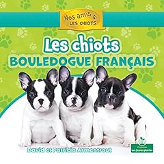 Chiots bouledogue français d'occasion  Livré partout en France