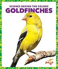 Goldfinches for sale  Delivered anywhere in Ireland