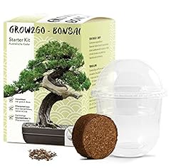 Happyseed grow2go bonsai gebraucht kaufen  Wird an jeden Ort in Deutschland