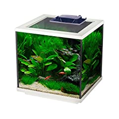Interpet Aqua Cube Glass Fish Tank Aquarium with Integrated for sale  Delivered anywhere in UK