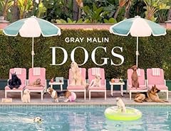 Gray malin dogs for sale  Delivered anywhere in USA 