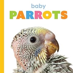 Baby parrots for sale  Delivered anywhere in UK
