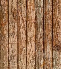 Papillon bark natural for sale  Delivered anywhere in UK